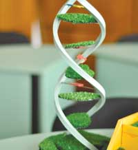 С вертикални оранжерии пестим вода