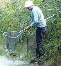 Във водното царство на пернатите