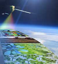 Фотосинтеза във всички цветове