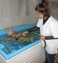 Професионалната гимназия в Павел баня подготвя кадри за балнеотуризма