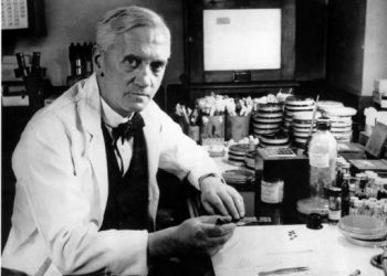 В търсене на вълшебното лекарство