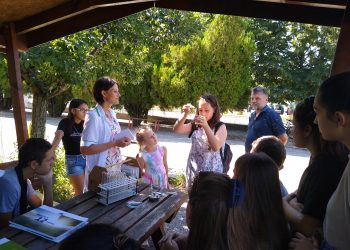 Еколято в Разград