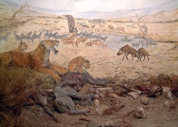 Перла в короната