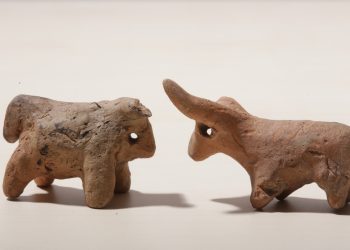 Експедиции във времето