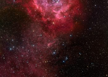 С името  на розата