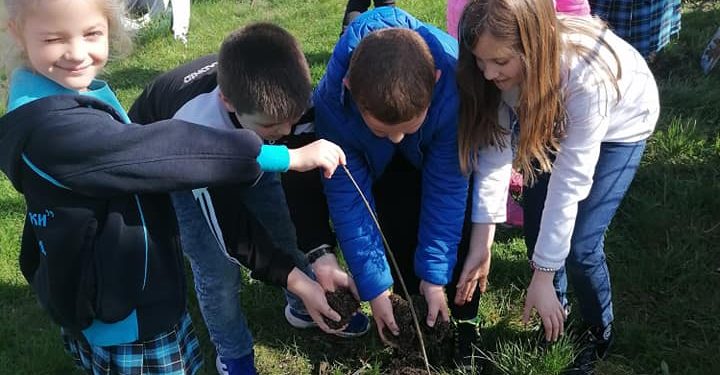 Ученици засадиха гора в Костинброд