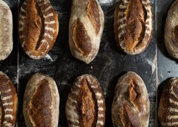 Хляб наш насущний*