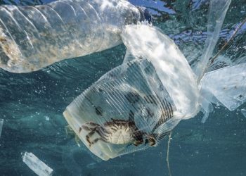 Бъдещето  на Черно море