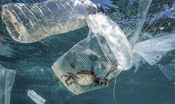 Бъдещето на Черно море
