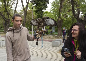 Панорама на професионалното в Стара Загора
