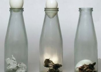 Научни експерименти у дома