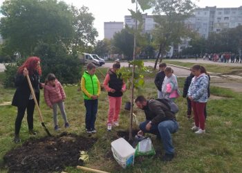 Засаждат над 600 дървета в училищни дворове