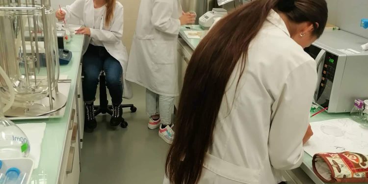 Отново медали за студентския отбор по синтетична биология