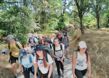 Предлагат две нови национални програми