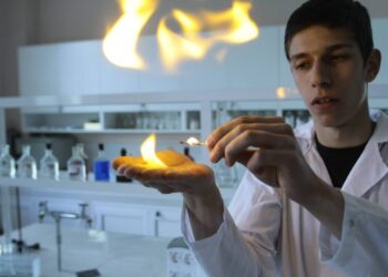 Завръщането на бобъра