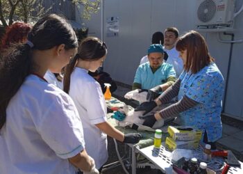 Да възхитиш фирмите с  професионална подготовка