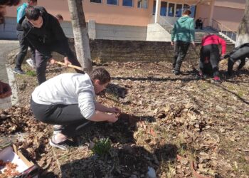 Силата на ученическите съвети