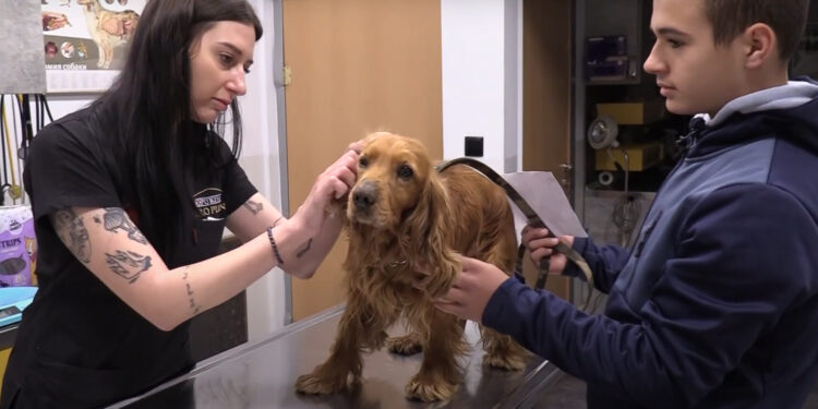 Грижа за приятели