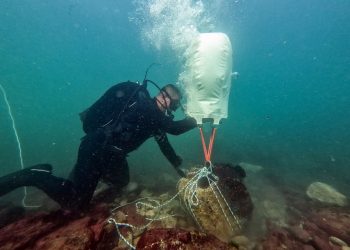 Сензационни открития  до устието на Камчия
