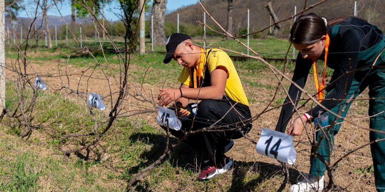 Отборът на ПГСС „Марко Марков“ – Георги Дамяново, спечели „Млад фермер“