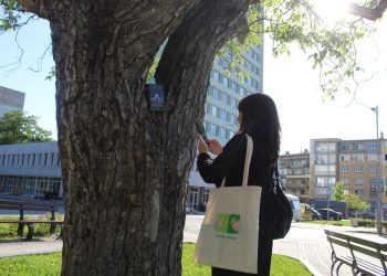 Тайните пътища на книгите