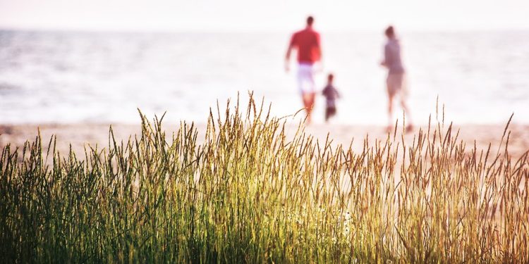 Трупа ли се осигурителен стаж по време на неплатен отпуск