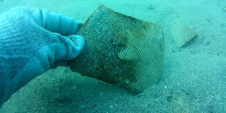 Тайните на залива Тауклиман