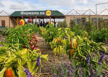 „Фeрмата на Lidl” – образователна градина от ново поколение